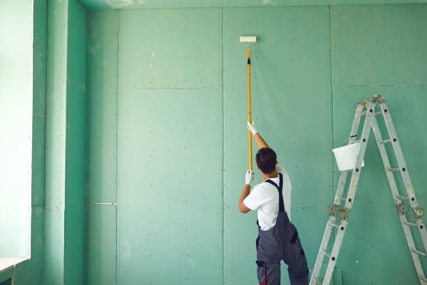 Best Ceiling Drywall Installation  in Port Edwards, WI